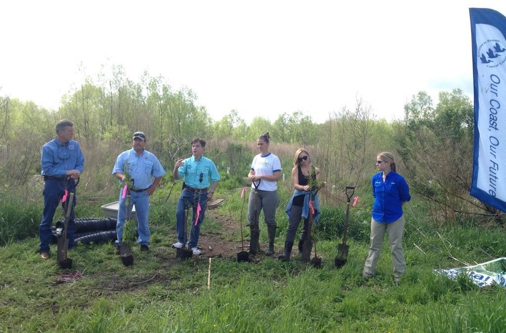 Coalition to Restore Coastal Louisiana, Restore the Earth Foundation, and Lake Pontchartrain Basin Foundation Announce Completion of 5,000 Tree Reforestation Initiative