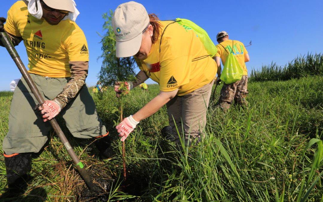 CITGO and Restore the Earth Plant 1,000 Trees to Restore Wetlands Marking 10 Years since Hurricanes Katrina and Rita