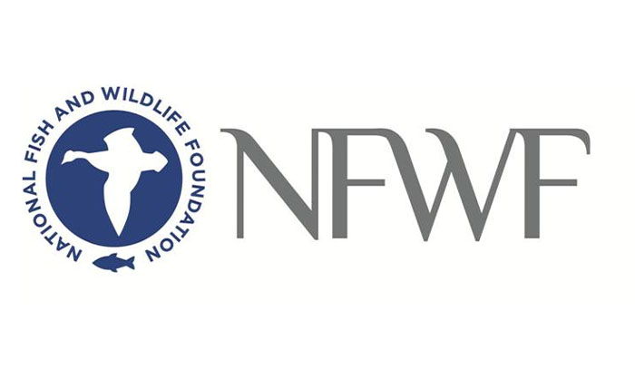 National Fish and Wildlife Foundation Names Restore the Earth Foundation Grant Recipient for Forest Marsh Restoration in Montegut, LA