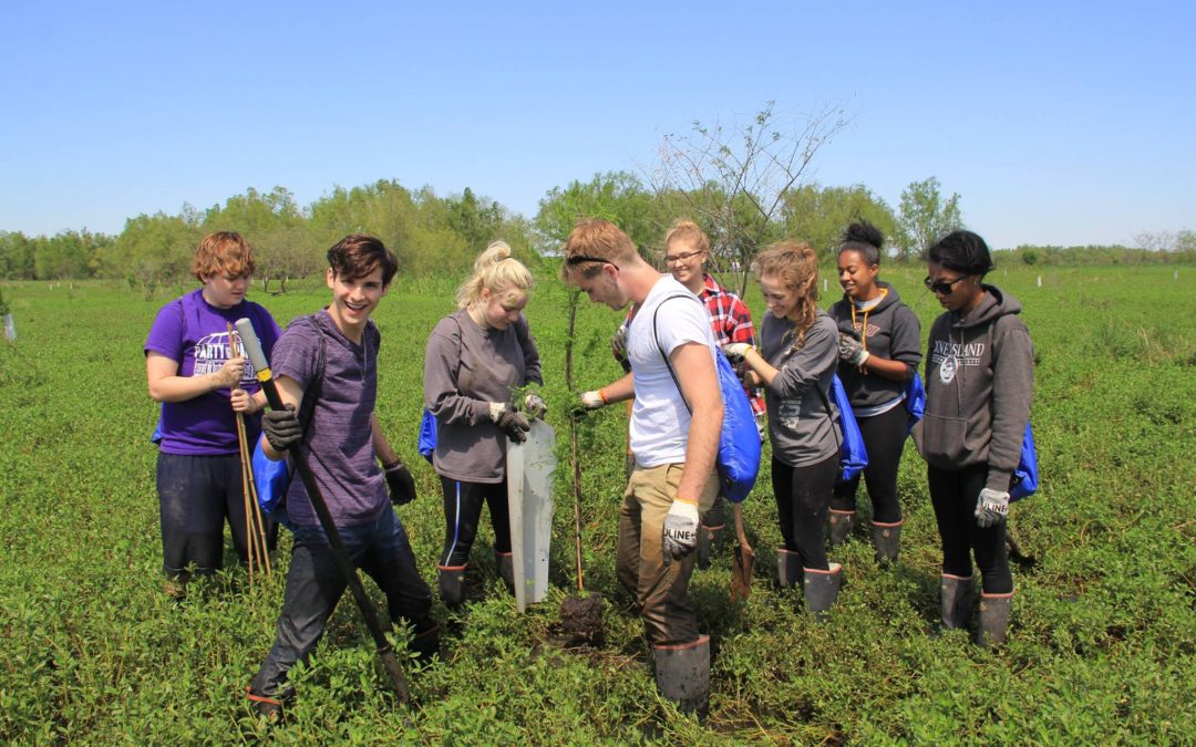 Coastal Groups Complete Another Major Reforestation Effort