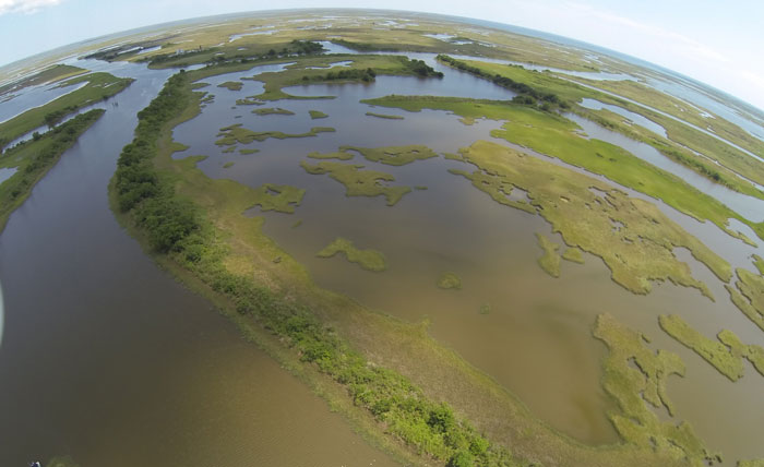Louisiana Wetlands Restoration Project Offers Corporate Investors a Social Return