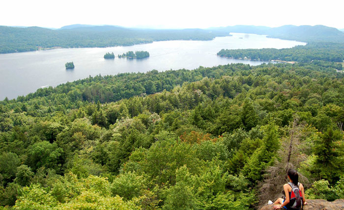 Putting Natural Capital to Work: How Business Can Benefit from Landscape-Scale Restoration