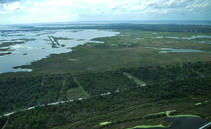 The Houma Courier: State partners with group to restore area swamps