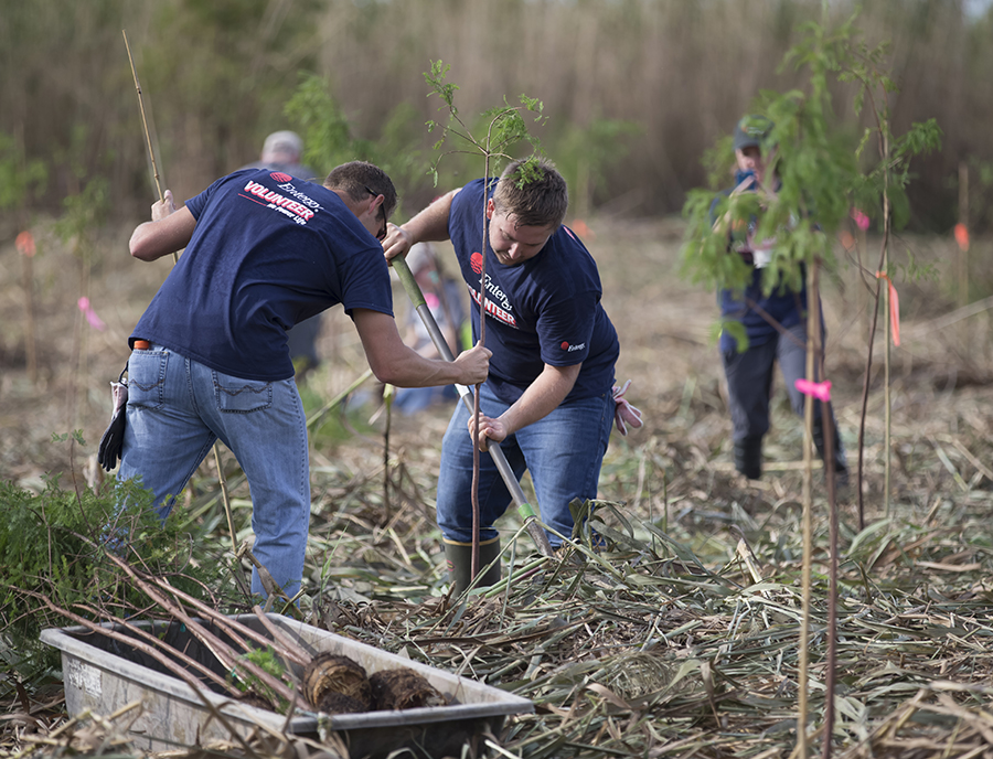 10.27.16 Restore the Earth tree planting and coastal restoration kick off of their project to restore 4,000 acres of freshwater-forested wetland in the Pointe-aux-Chenes Wildlife Management Area. Montegut, Louisana