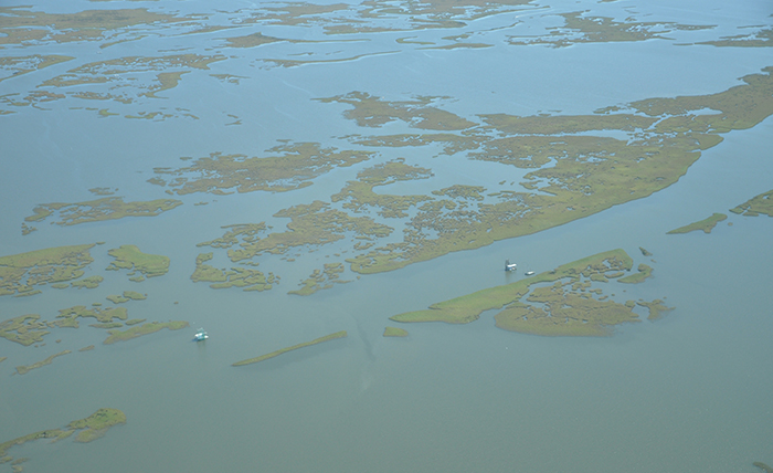 A “Perfect Storm” of Cooperation Along the Gulf Coast