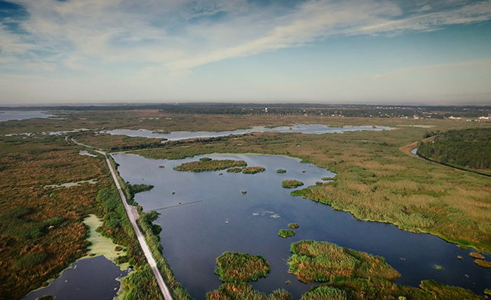 Beyond Profit: New Funding Models Inspire Investment in Landscape Scale Restoration