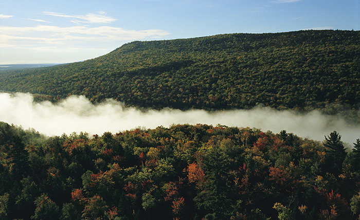 Why Investing in Landscape Scale Restoration Makes Good Business Sense