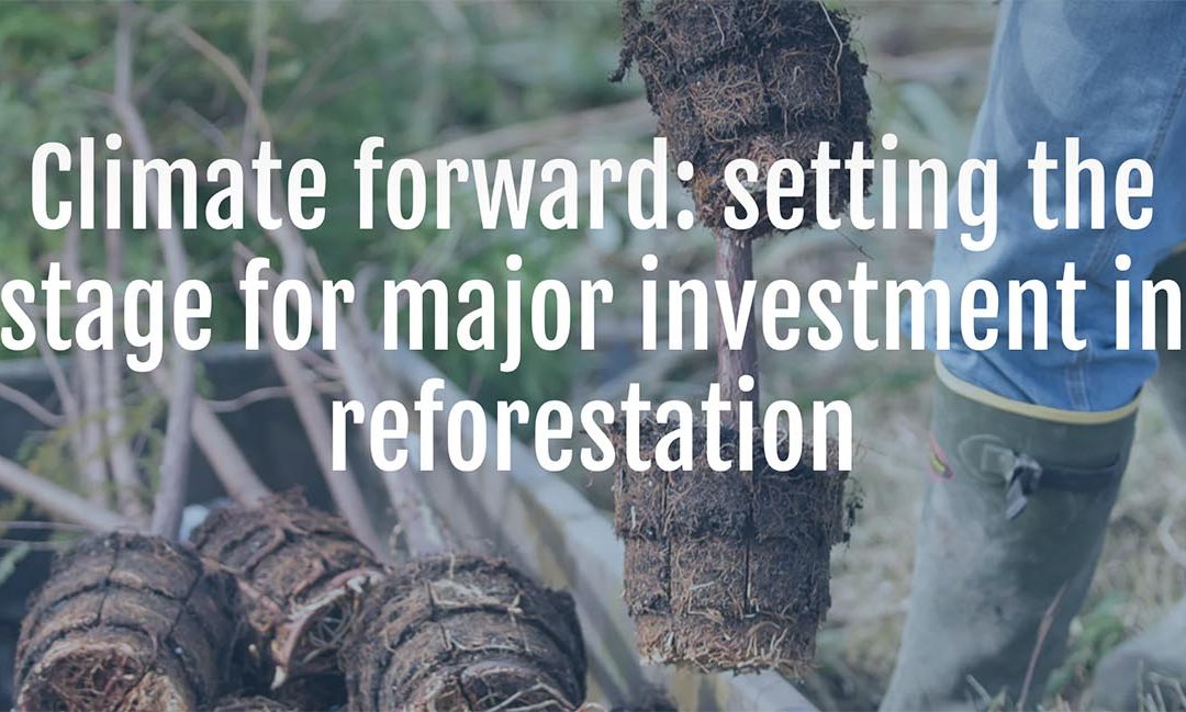 Climate Forward: Setting the Stage for Major Investment in Reforestation
